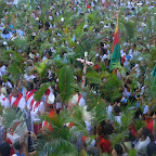 Domingo de Ramos 2013