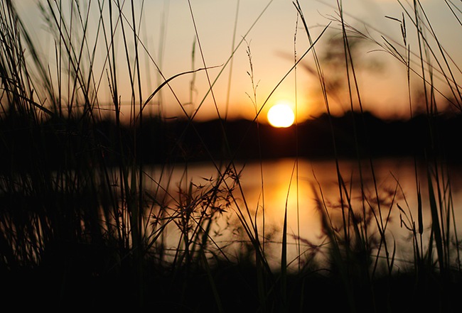 IMGP9057w