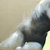 Object: 20336 - Contraste - 60 x 120 cm - € 2975,=