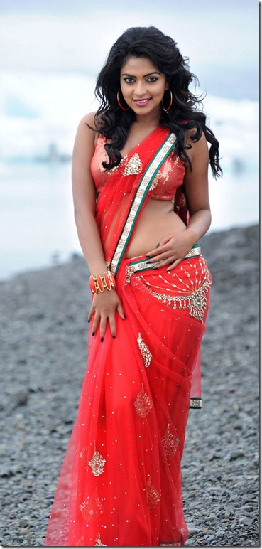 amala paul hot in naayak movie