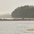 IMG_6473.JPG