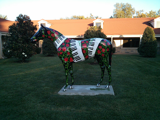 Rose the Piano Horse