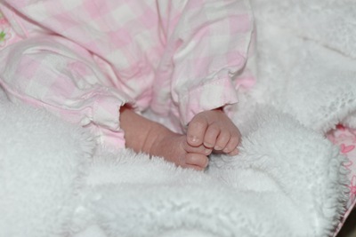 [DSC_6582%255B4%255D.jpg]
