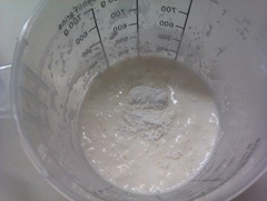 panna cotta panna cotta