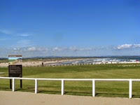 IMG_0795 IMG_0795