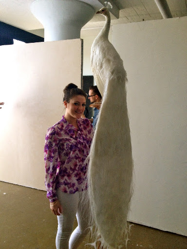 The peacock was huge—taller than I am! The peacock was huge—taller than I am!
