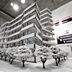 IMG_8838.jpg