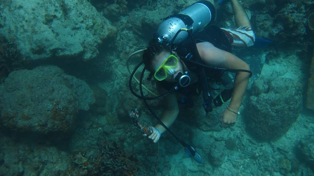 [IMG_3285%255B3%255D.jpg]