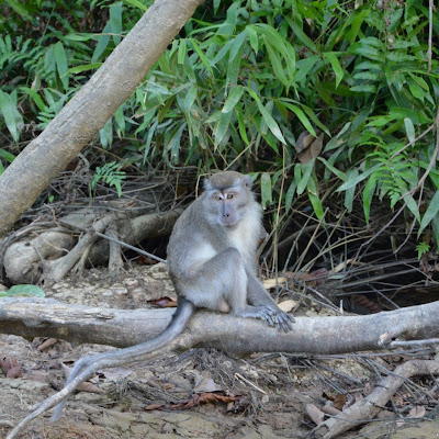 DSC_1080.JPG