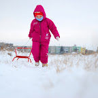 DSC_3469.JPG