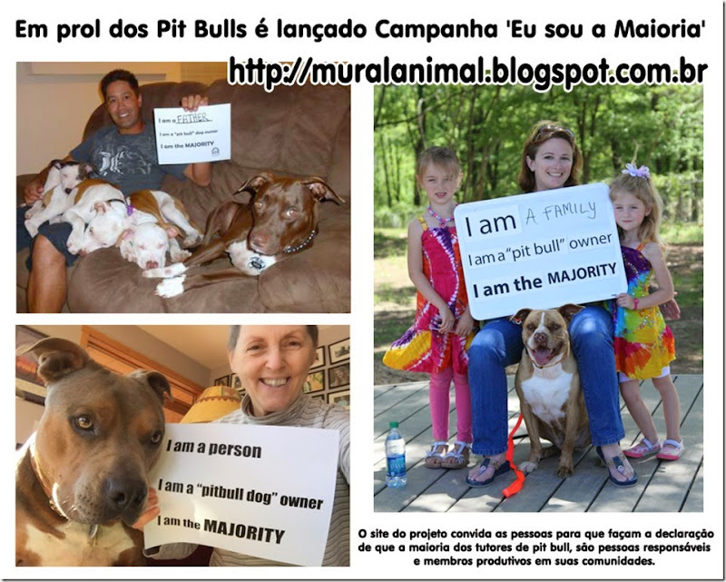 pitbull_maioria