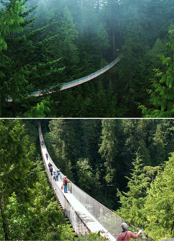 http://asalasah.blogspot.com/2012/12/foto-indahnya-jembatan-capilano.html