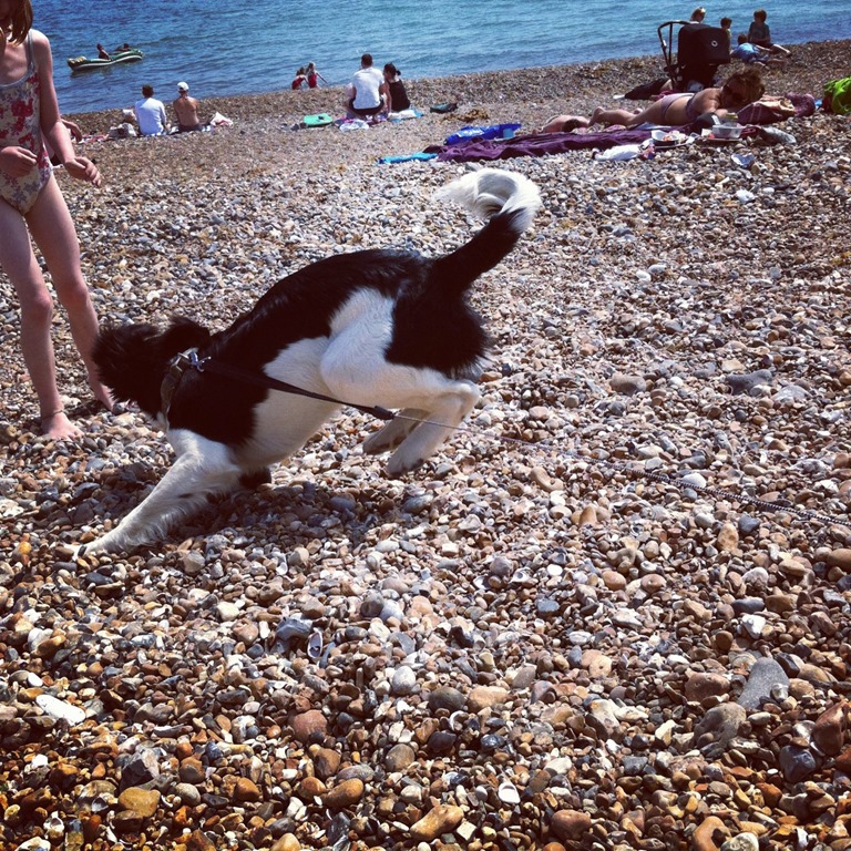 [IMG_9982%255B3%255D.jpg]