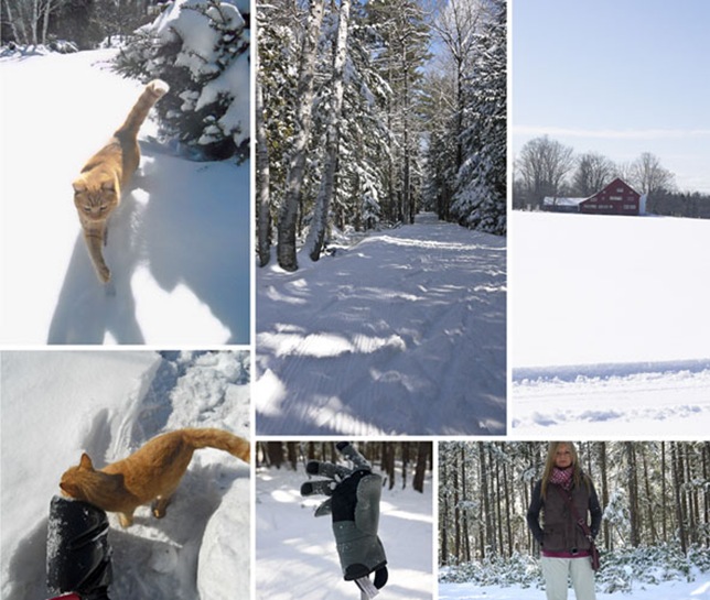m_snow-1GR m_snow-1GR