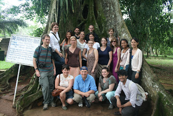 'Class photo at the Strangler Ficus Tree at Aburi Botanical Garden.' Photo by Sandra Vu