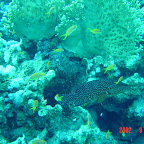 DSC00179.JPG