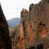 IMG_8697.jpg