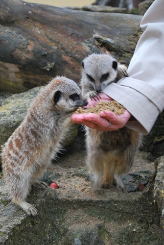 [DSC_0509%255B1%255D.jpg]