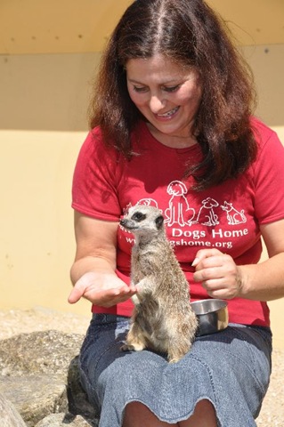 [Lydia%2520%2526%2520Meerkat%2520DSC_0634%255B9%255D.jpg]