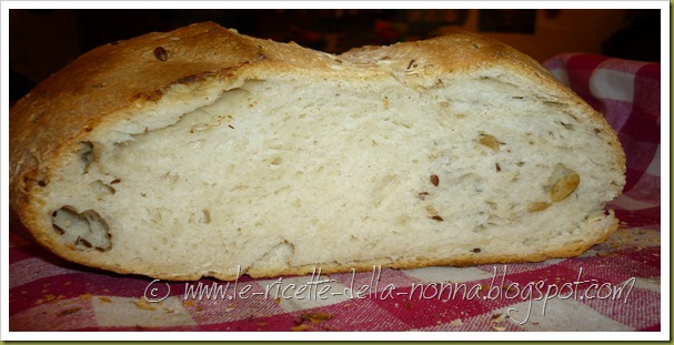 Pane con pasta madre ai semi misti e olio extravergine d'oliva (10)