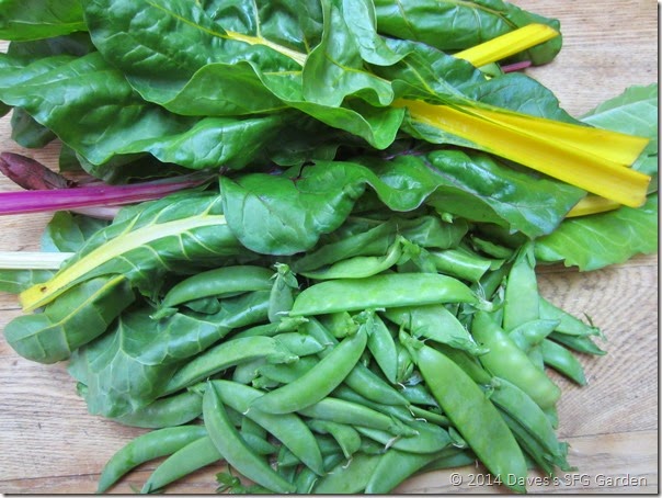 chard&peas