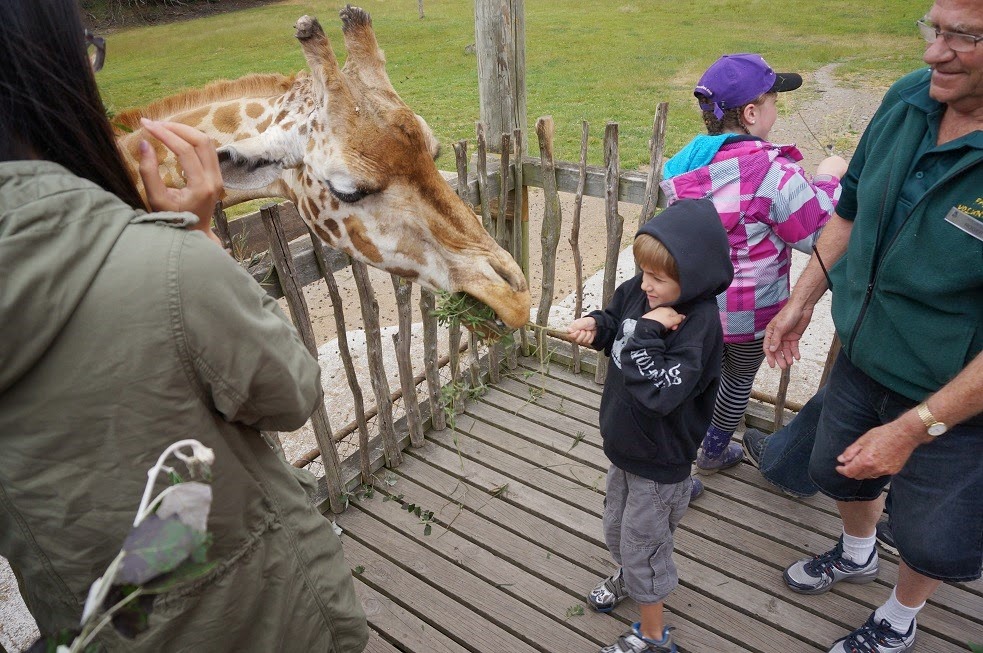 [DSC06045%255B4%255D.jpg]