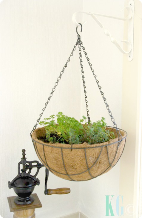 hanging kitchen planters herbs
