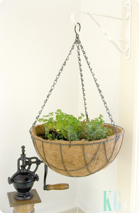 hanging kitchen planters herbs hanging kitchen planters herbs