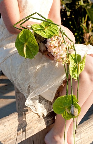 shell-bouquet-2 floral design by jacqueline ahne shell-bouquet-2 floral design by jacqueline ahne