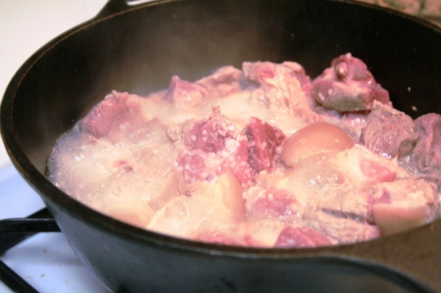 [carnitasmexicoinmykitchen24.jpg]