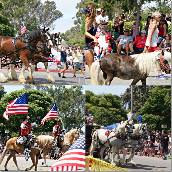 Horse Collage