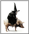 Halloween Witch 3