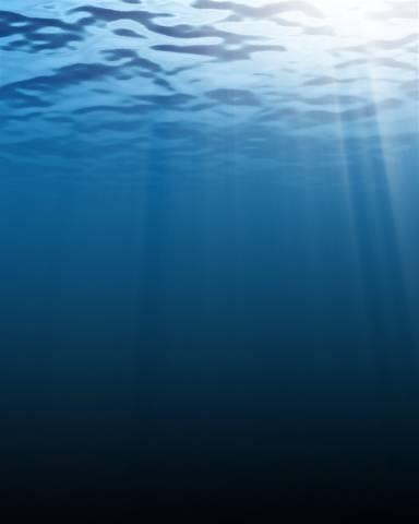 [seaprimordial20113.jpg]