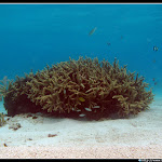 IMG_8832.JPG