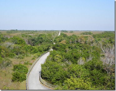 Shark Valley Bike Path
