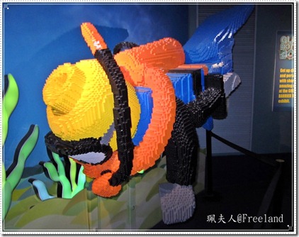aquarium10