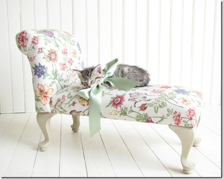 Kitten Little Princess Amy Tyler Kitten Little Princess Amy Tyler