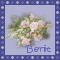 beritanim beritanim