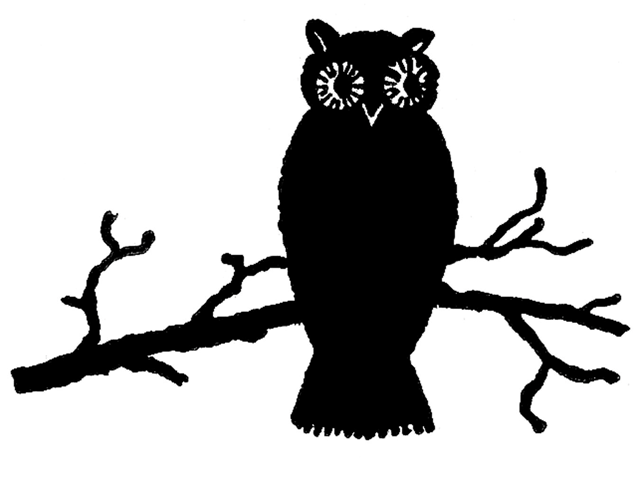 owl