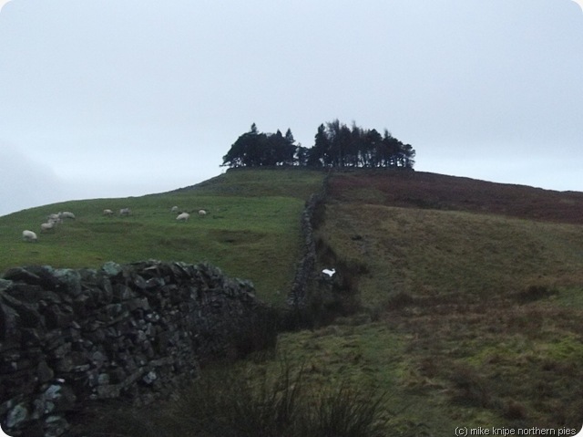 kirkcarrion kirkcarrion