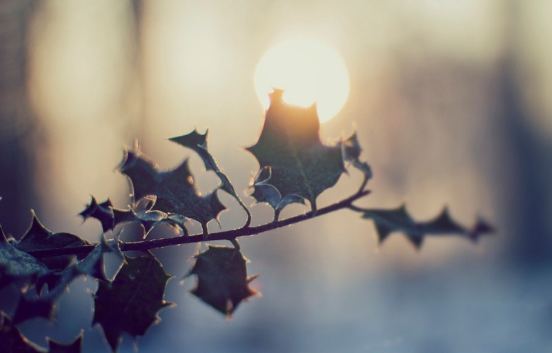 [Mathijs%2520Delva5%255B2%255D.jpg]