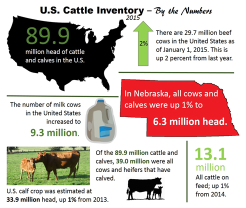 1cattle inventory 