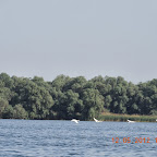 DSCN0274.JPG