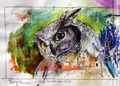 day 2 owl day 2 owl
