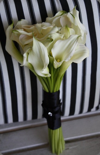 IMG_5556  flora fauna