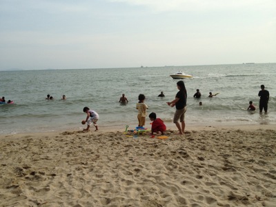IMG_7931.jpg IMG_7931.jpg