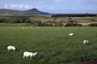 Green fields at the DIngle Peninsula