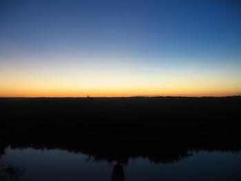 pampas
