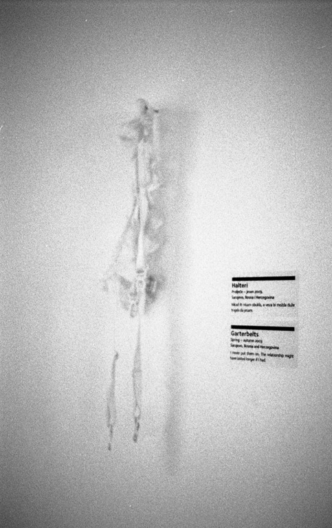 [img174%255B2%255D.jpg]