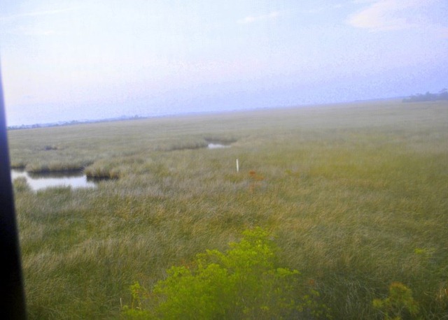 [_DSC0131%255B3%255D.jpg]
